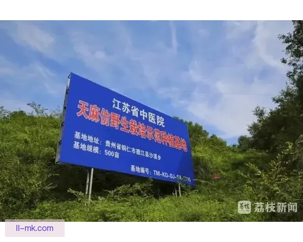 2026世界杯推出实时语音导览服务 专为持票残障球迷打造便利体验